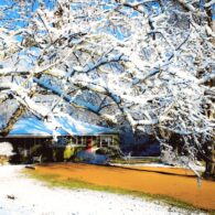 Our tasting room, The Crow's Nest, offers a great place to taste our wines, nibble something delicious, and hoist th' Colors!