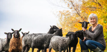 Grand View Farm, Washington, Vermont | Farm Stay USA