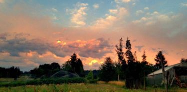 MoonRidge Farms, Beaverton, OR | Farm Stay USA