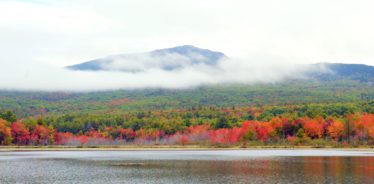 The Inn at East Hill Farm Thanksgiving | Farm Stay USA