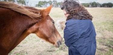 Scurlock Farms, Georgetown, TX | FarmStay USA