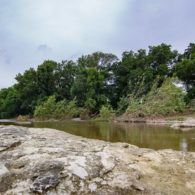 San Gabriel River at Scurlock Farms
