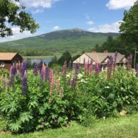 Swinging with a view of Mt Monadnock