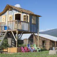 Welcome to ABC Acres!