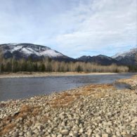 Welcome to ABC Acres!