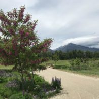 Welcome to ABC Acres!