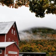 Beautiful in the fall