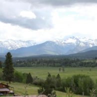 Welcome to ABC Acres!