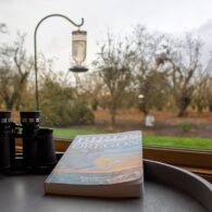 Enjoy bird watching? Grab your morning coffee and watch from the living room.