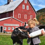 Bottle feeding one of the babies