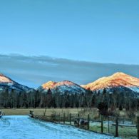 Welcome to ABC Acres!