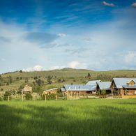 Welcome to ABC Acres!