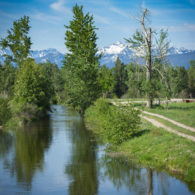 Welcome to ABC Acres!