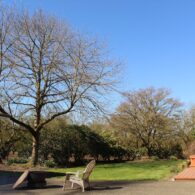 Back deck and patio. Great place for a BBQ and an evening around the fire pot.
