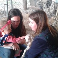 Young guest enjoying baby goats at Scurlock Farms