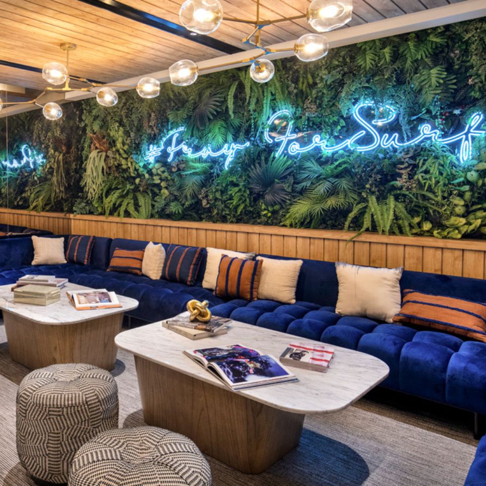 Blue couches and coffeetables on front of a green, leafy wall