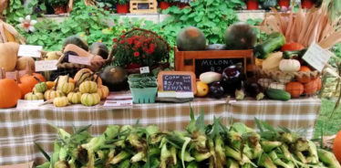 Blind Buck Valley Farmstead, Salem, New York | Farm Stay USA