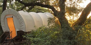 a covered wagon in the forest at sunset