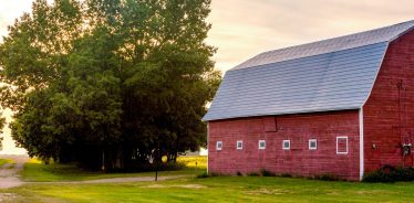 Picturesque view of a red barn at a Farm Stay.