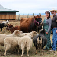 Enjoy fresh eggs from our free range chickens and organic produce from the garden.