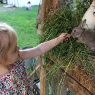 Bunnies need to eats too.