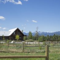 Welcome to ABC Acres!