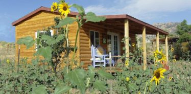 Three Sparrows Farm, Prescott, AZ | Farm Stay USA