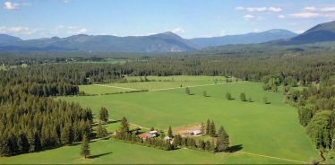 Cedar Mountain Farm, Athol, Idaho | Farm Stay USA