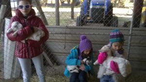 Playing with baby goats Scurlock Farms Vacation Rentals Georgetown TX (Austin)