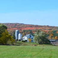 The beautiful fall at Hull-O Farms in the Catskills.