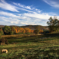 We offer Sourdough Bread workshops
