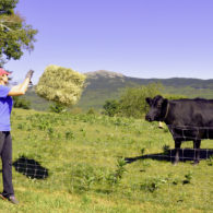 Swinging with a view of Mt Monadnock