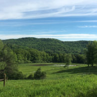 We offer Sourdough Bread workshops