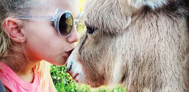 Dog Day Acres Land & Cattle Co, Lucas, Iowa | Farm Stay USA