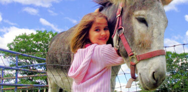 East Hill Farm Troy NH | Farm Stay USA