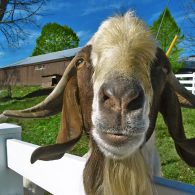 Outdoor pool with a view