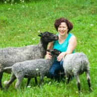 Guests love spending time with our sheep.