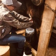 Guests on the farm get to participate in morning milking, or just watch.