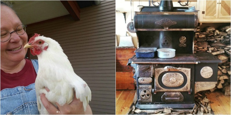 Hillside Homestead, Suttons Bay, Michigan | Farm Stay USA