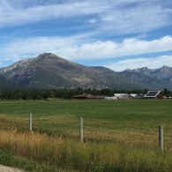 Welcome to ABC Acres!