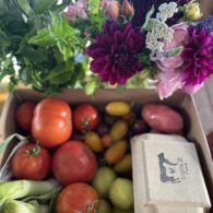 Enjoy fresh eggs from our free range chickens and organic produce from the garden.