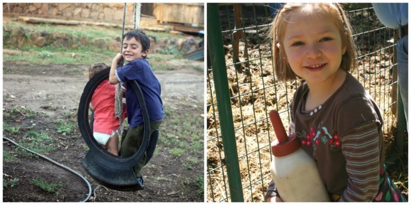 Willow Creek Ranch Farm Stay, Mountain Ranch, California | Farm Stay USA