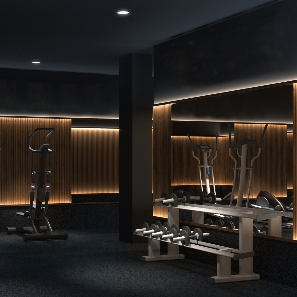 A sleek, modern gym interior featuring a dumbbell rack, an elliptical machine, and stylish ambient lighting.