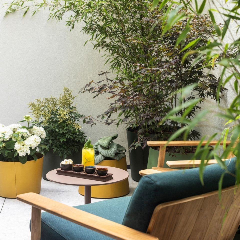 A cozy patio featuring green plants and comfortable chairs, creating a relaxing outdoor space.