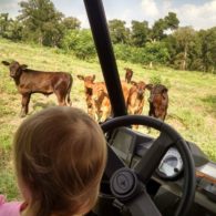Young guest at Scurlock Farms enjoying a tour