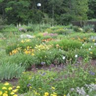 Labour of Love Landscaping and Nursery, Glover, VT | Farm Stay USA