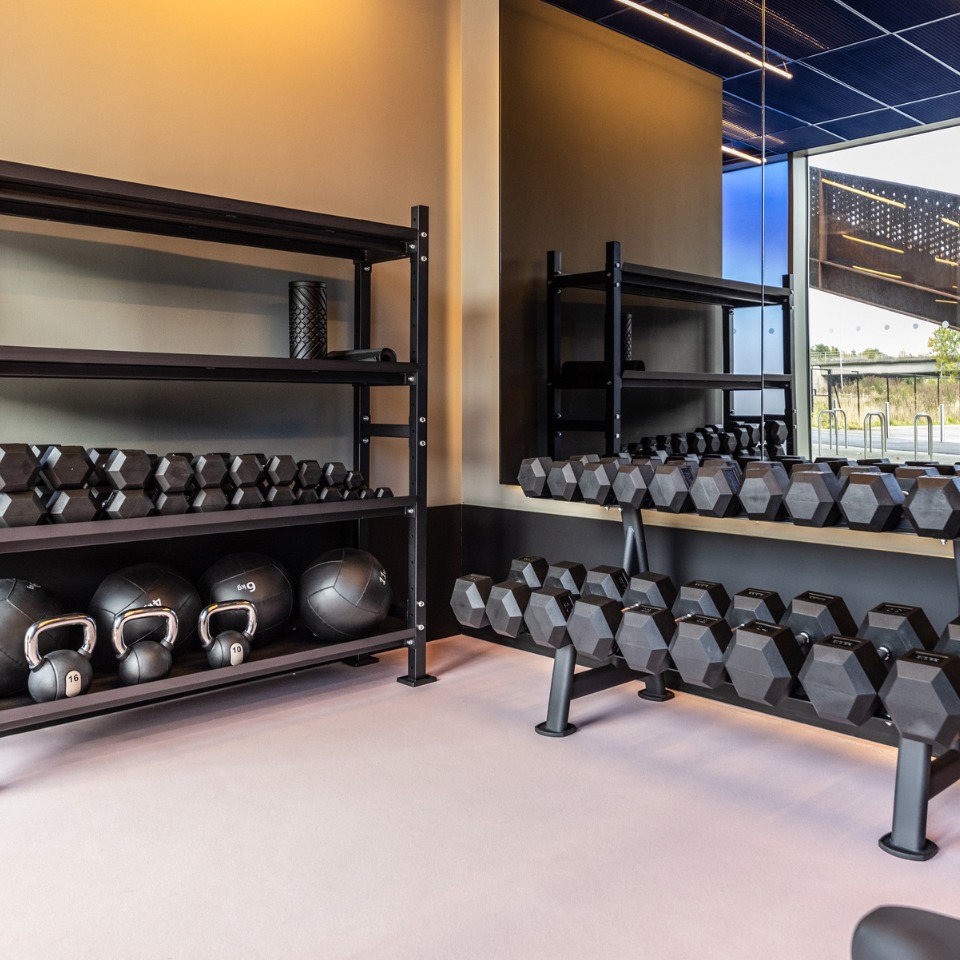 A gym corner featuring organized racks of dumbbells, kettlebells, and medicine balls on a soft pink floor.