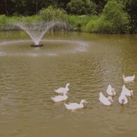 Ariel of the Inn when it first opened in 2021.