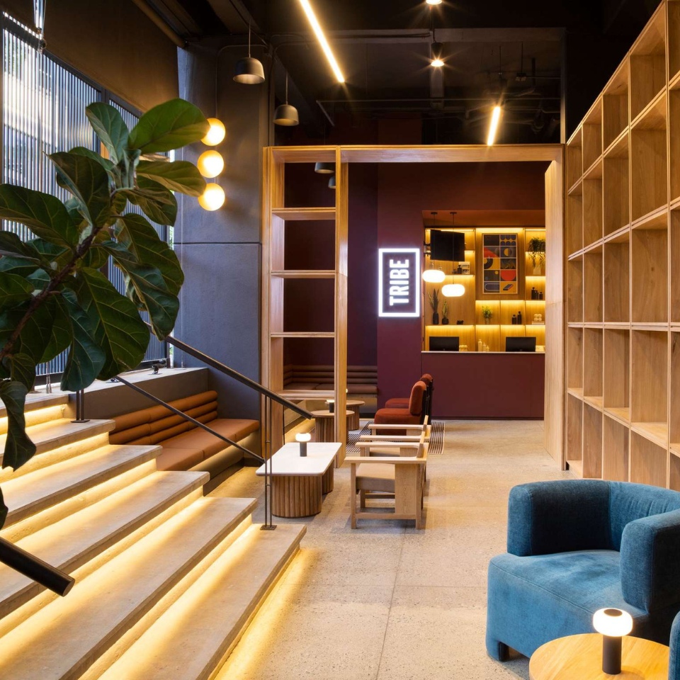 Modern lounge with wooden accents, plush seating, plants, and ambient lighting, featuring a "TRIBE" sign and welcoming atmosphere.