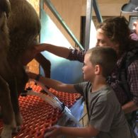 We offer Sourdough Bread workshops